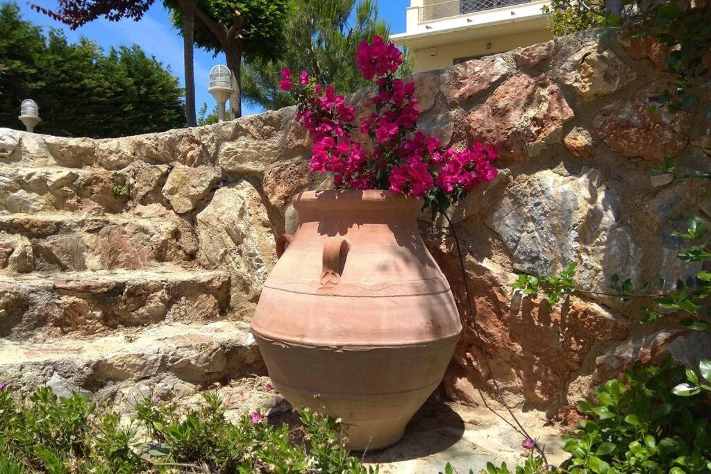 Seaside Villa AndroNikos (Evia Island)