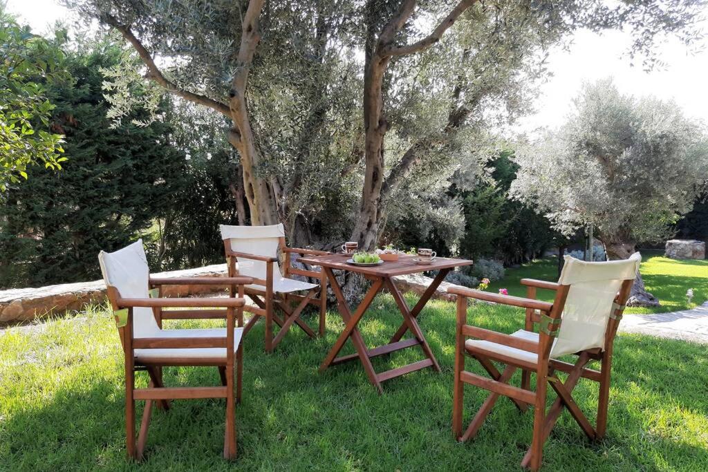 Seaside Villa AndroNikos (Evia Island)