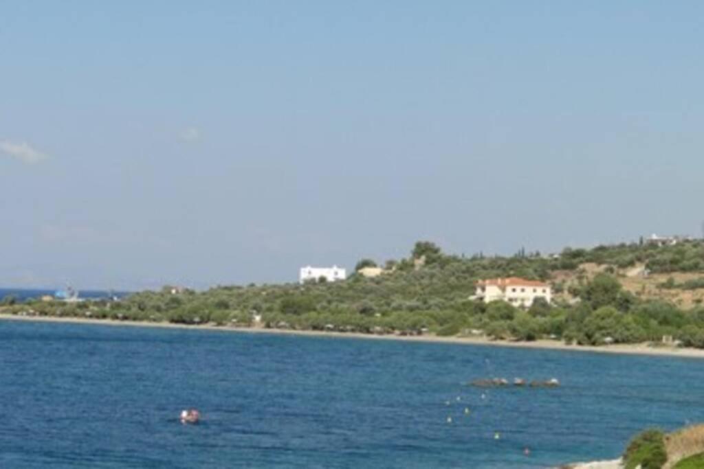 Seaside Villa AndroNikos (Evia Island)