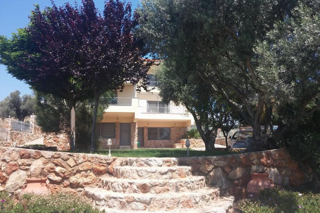 Seaside Villa AndroNikos (Evia Island)