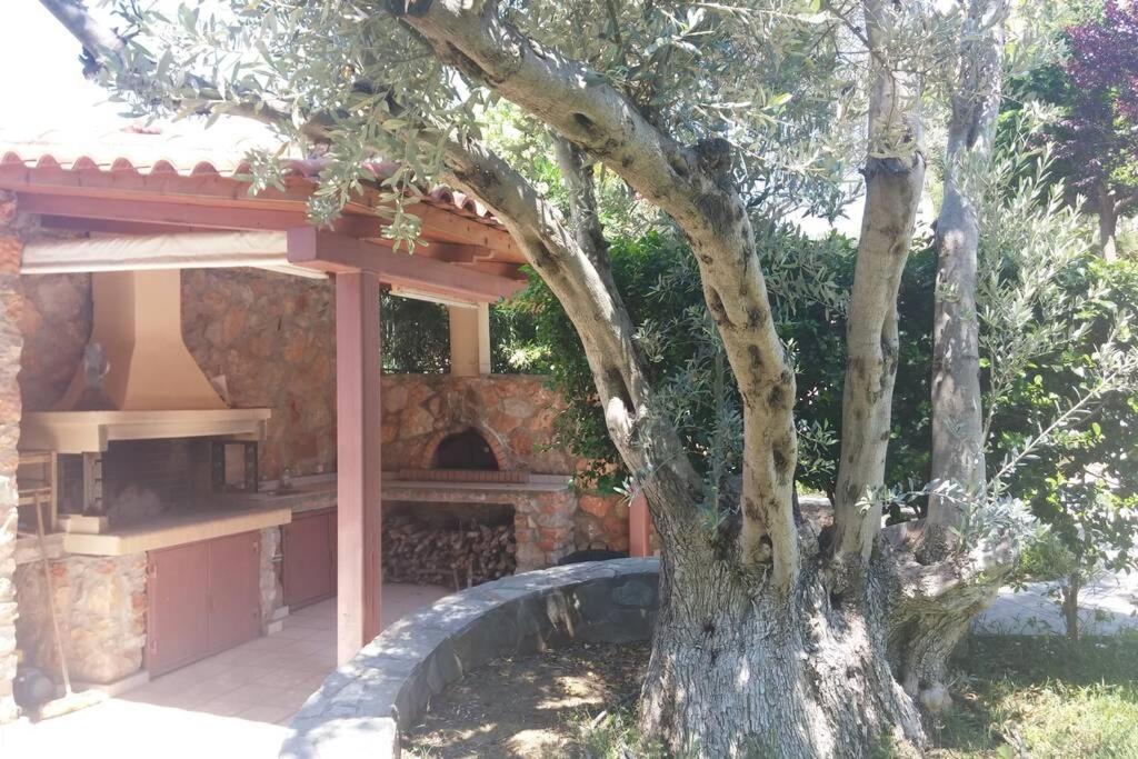 Seaside Villa AndroNikos (Evia Island)