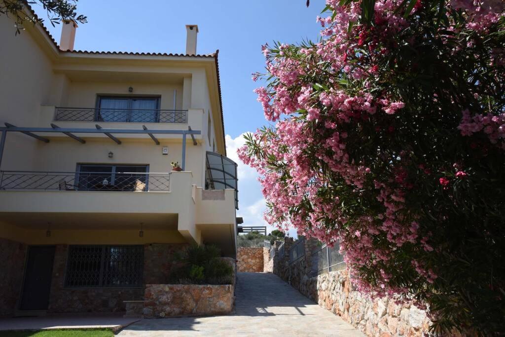 Seaside Villa AndroNikos (Evia Island)