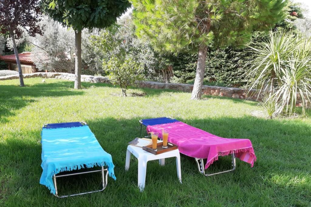 Seaside Villa AndroNikos (Evia Island)