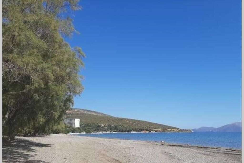Seaside Villa AndroNikos (Evia Island)