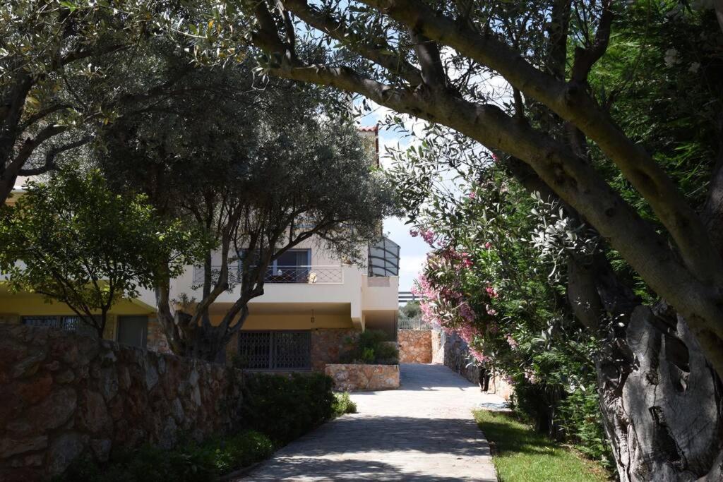 Seaside Villa AndroNikos (Evia Island)