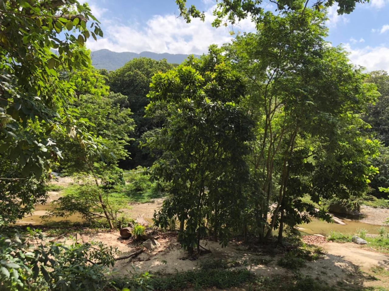 Eco Hostal Kuima