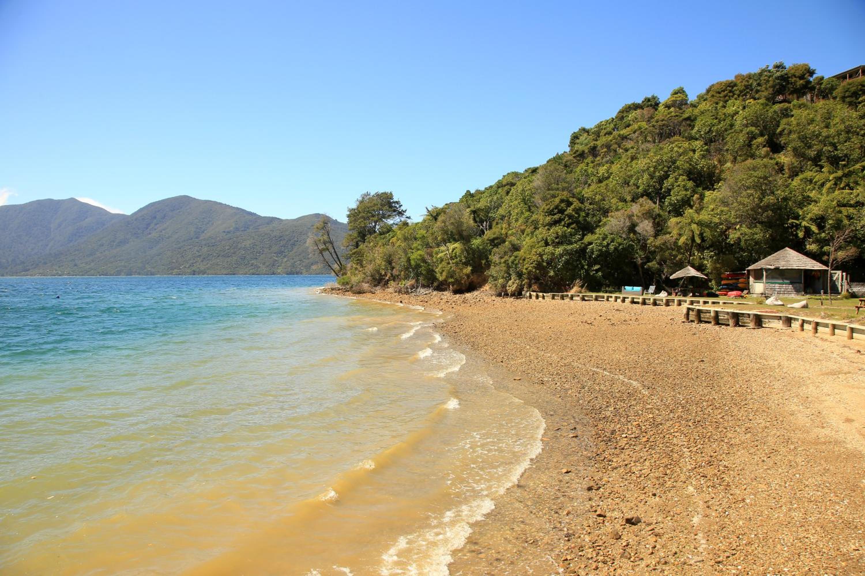 Punga Cove Resort 9