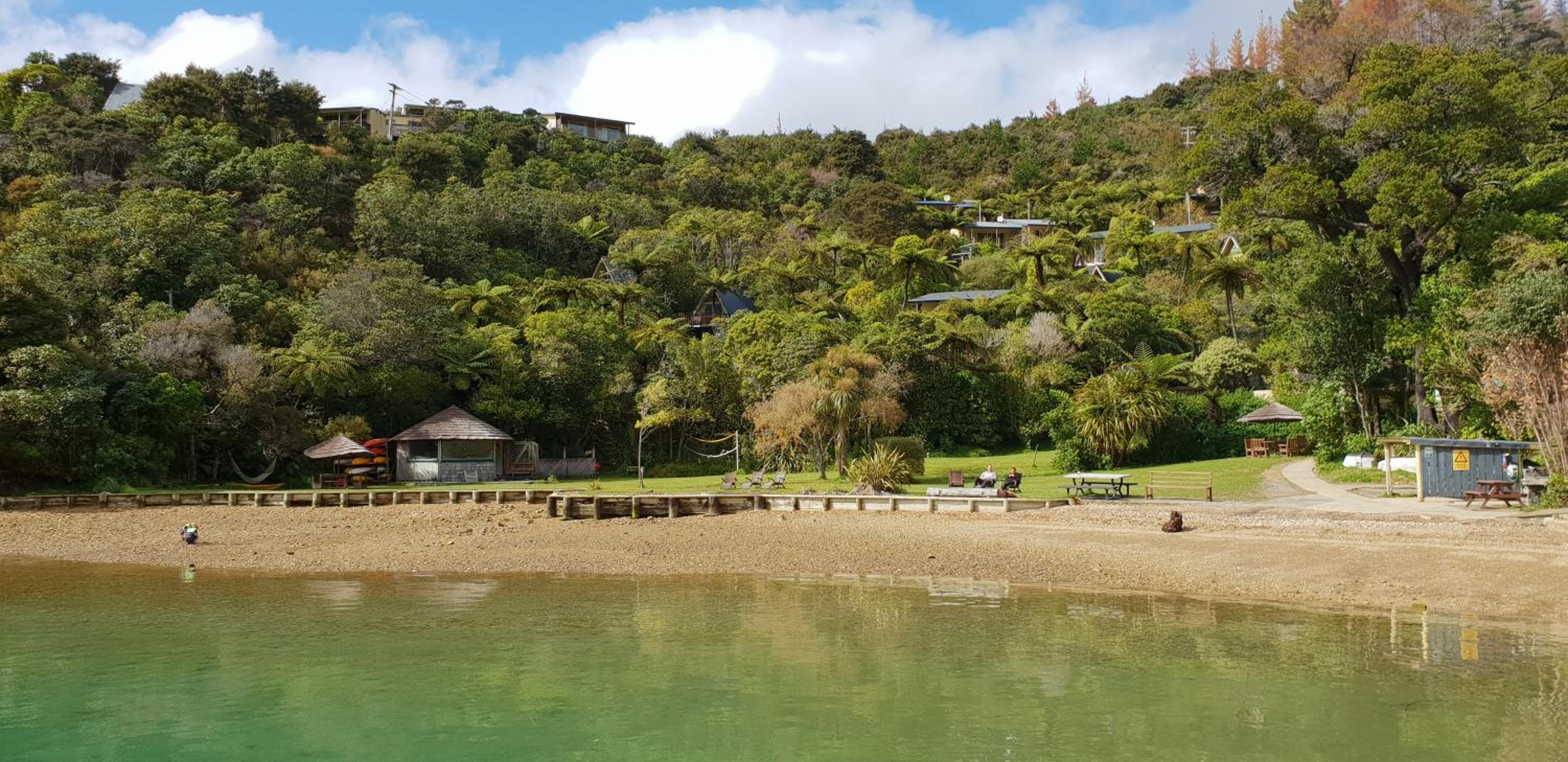 Punga Cove Resort 8