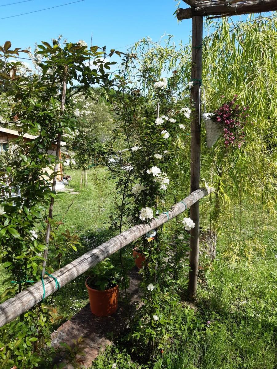 La Bellana photo 3