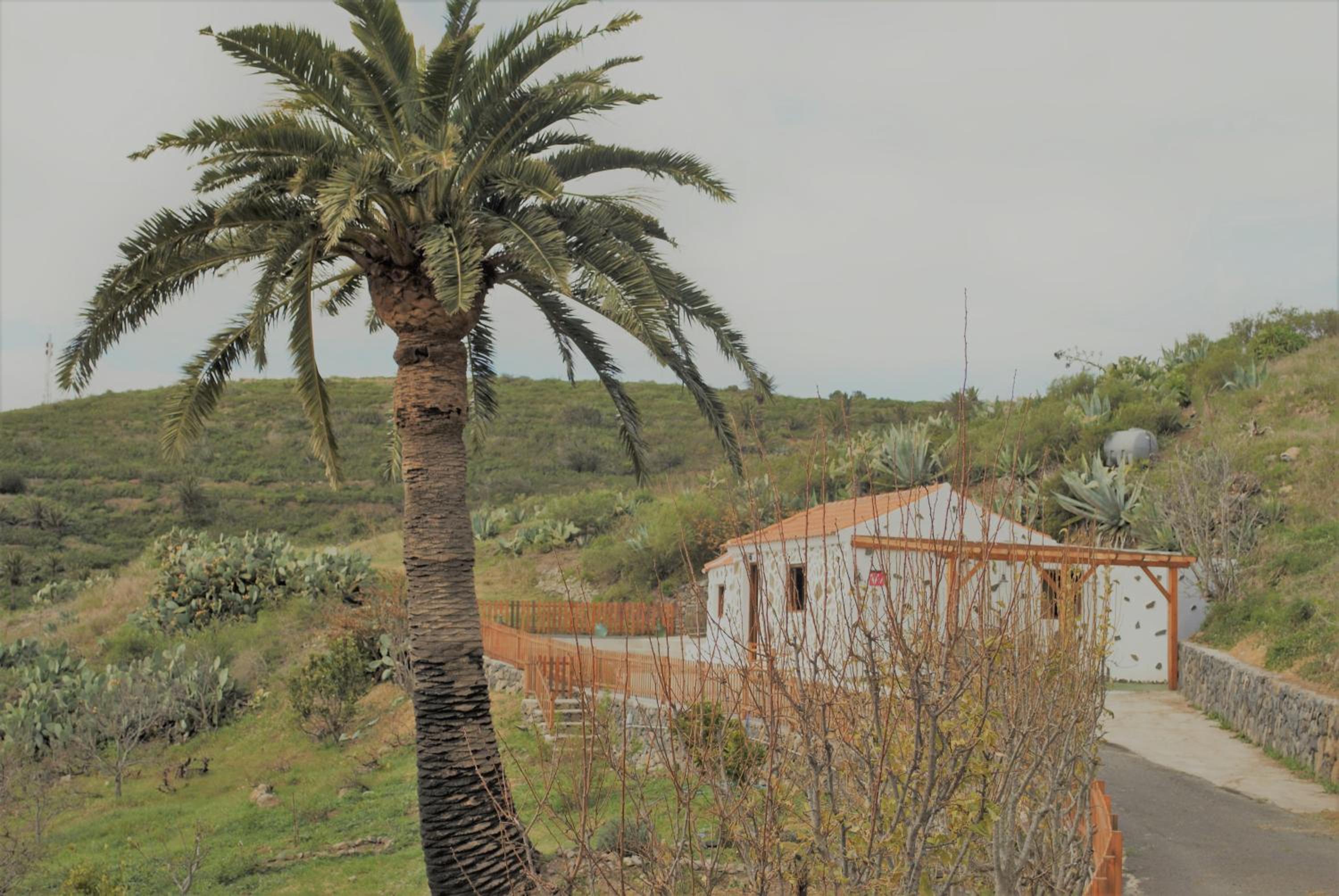 Finca Ulises Las Hayas view 5