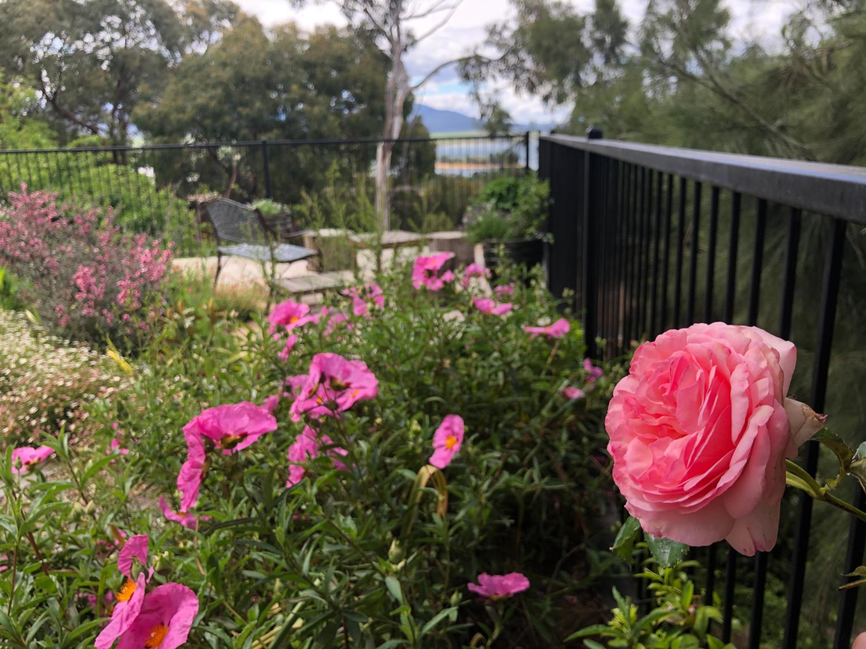 Troldhaugen Lodge - Adults Only, photo 35