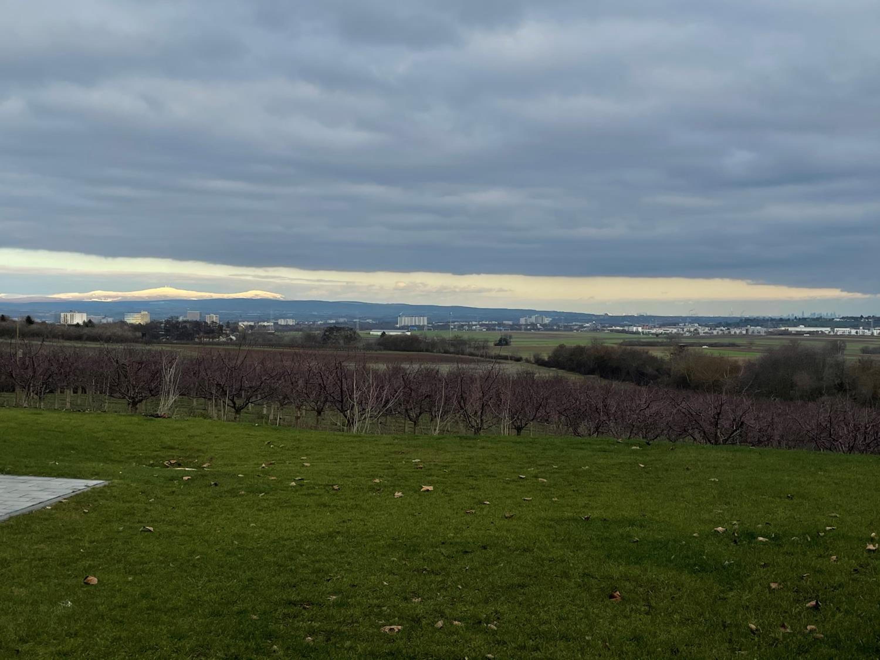 Weingut Bugner Meizelhof en Klein-Winternheim