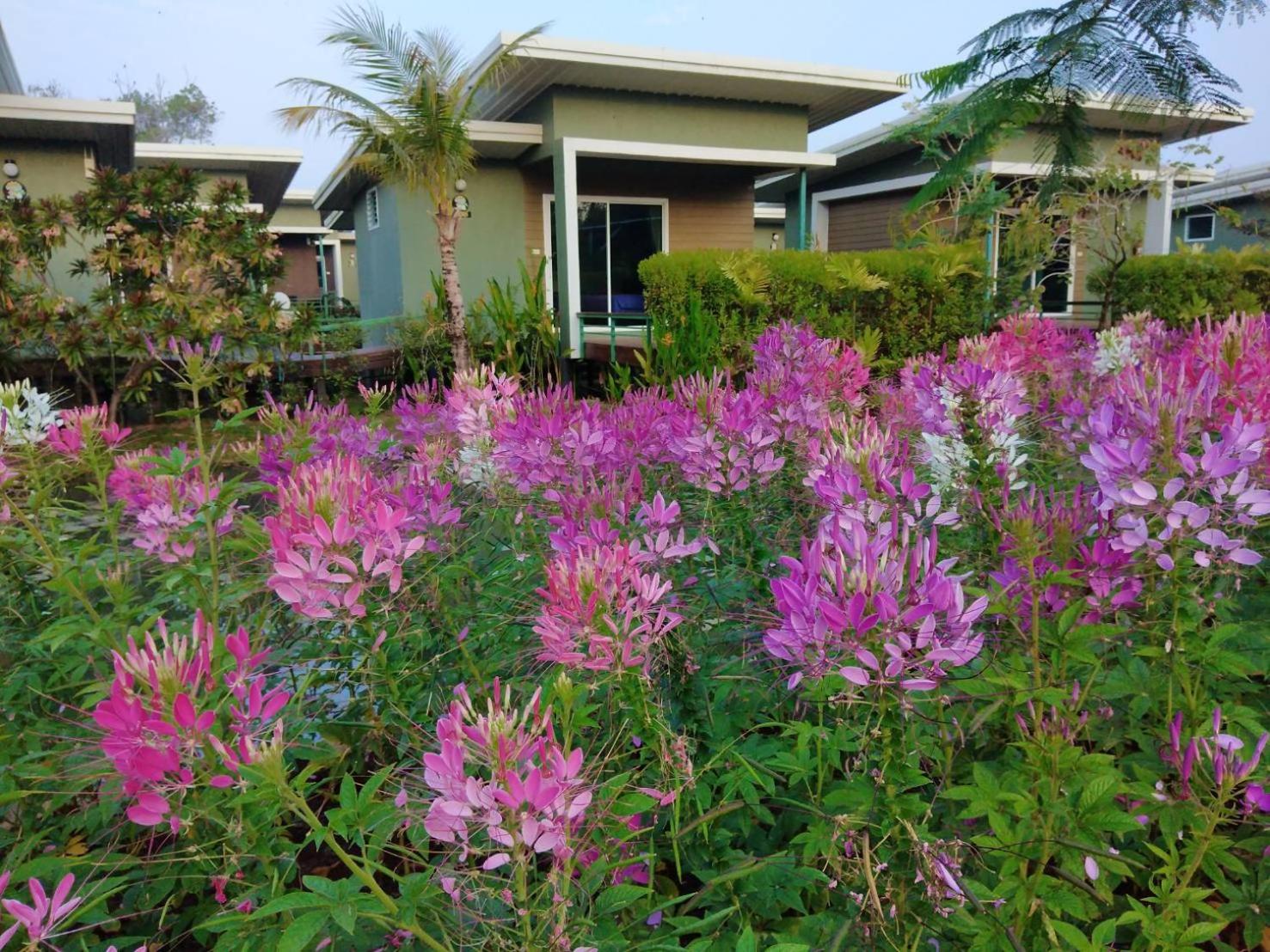 Green Two Resort view 4