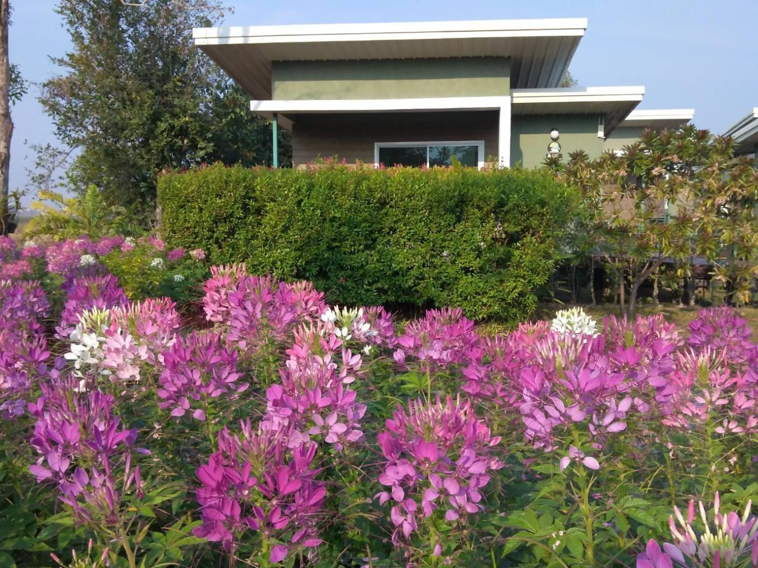 Green Two Resort view 5