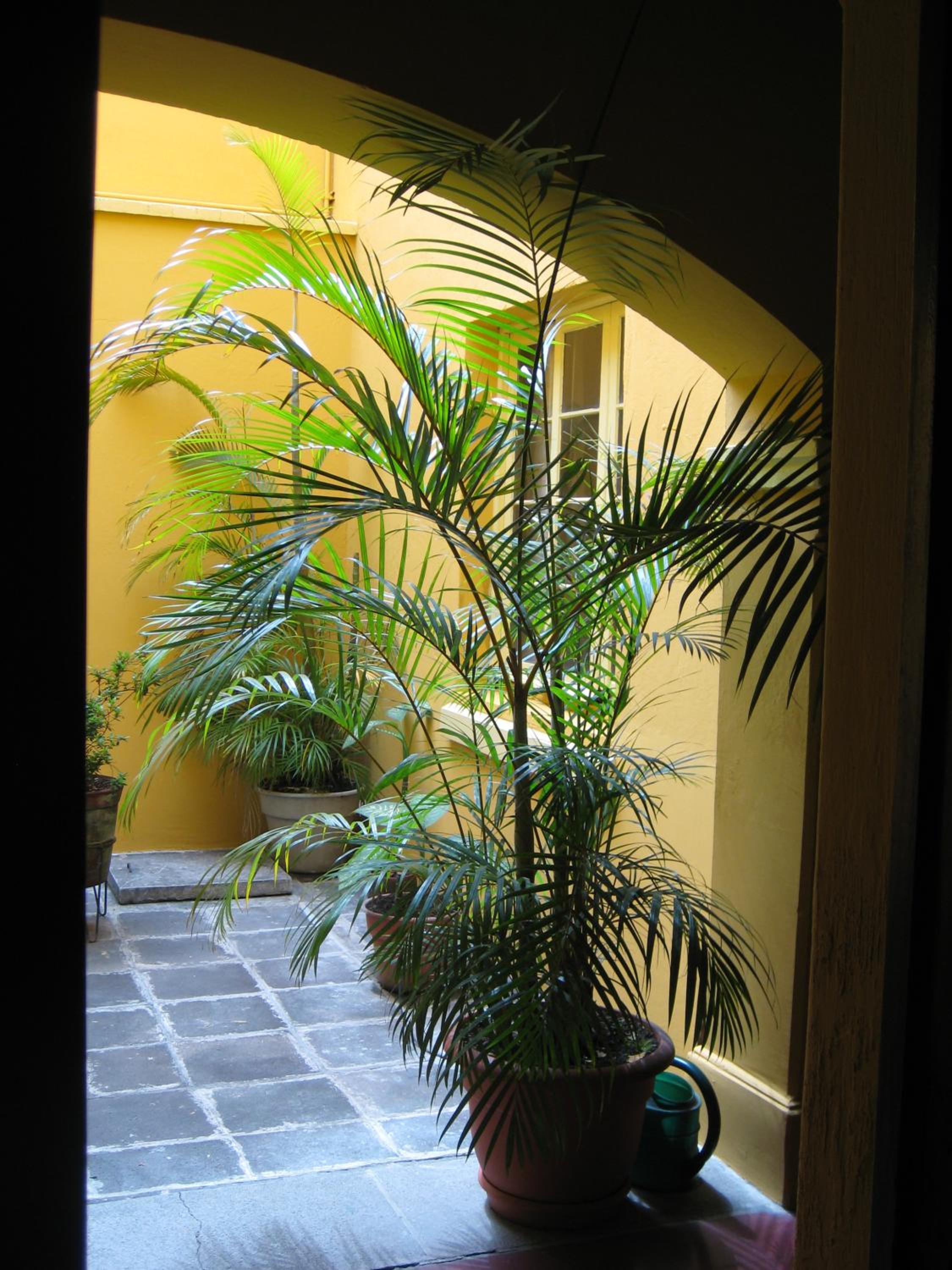 Photo 22