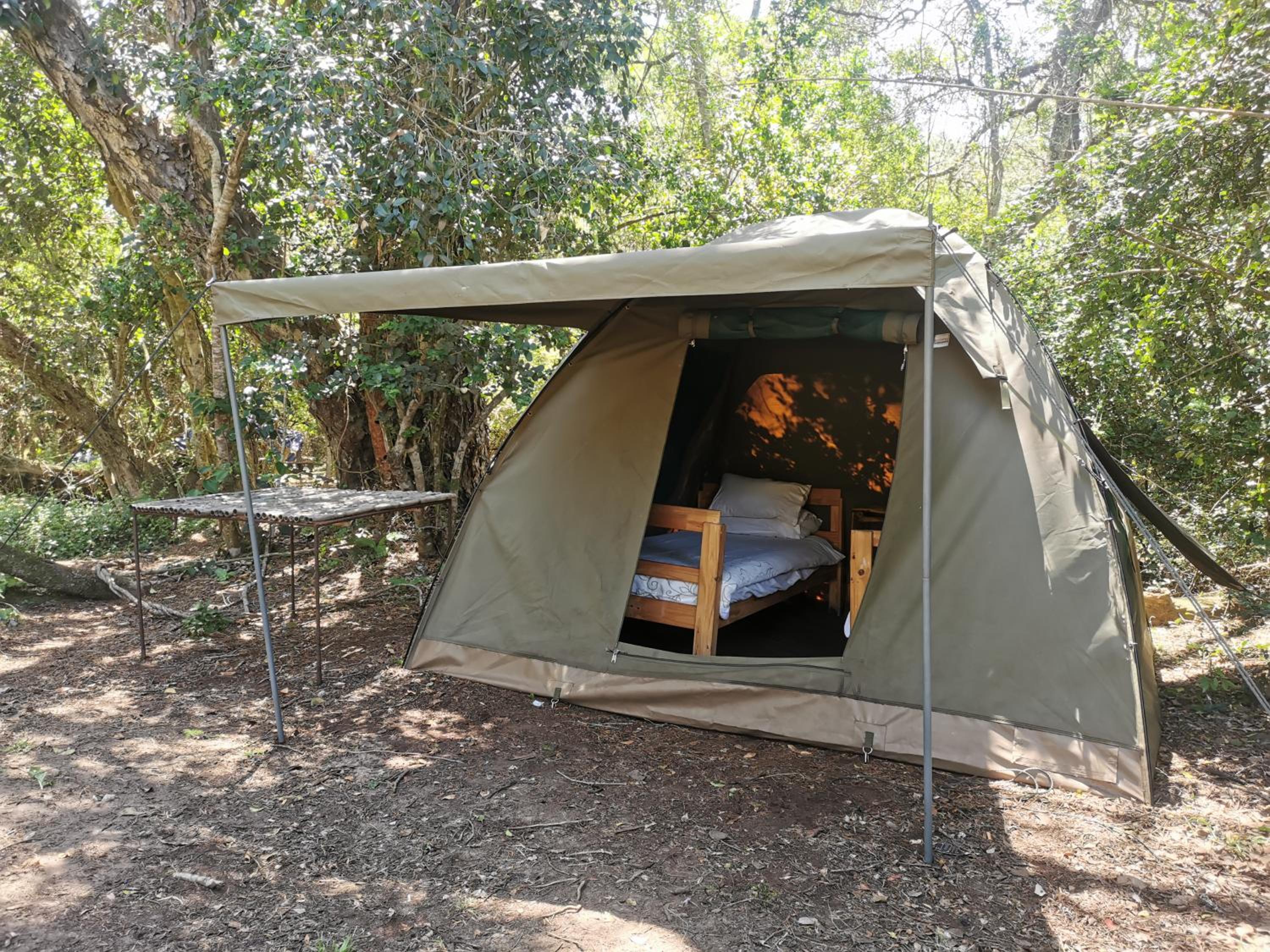 Fairy Knowe Backpackers Lodge