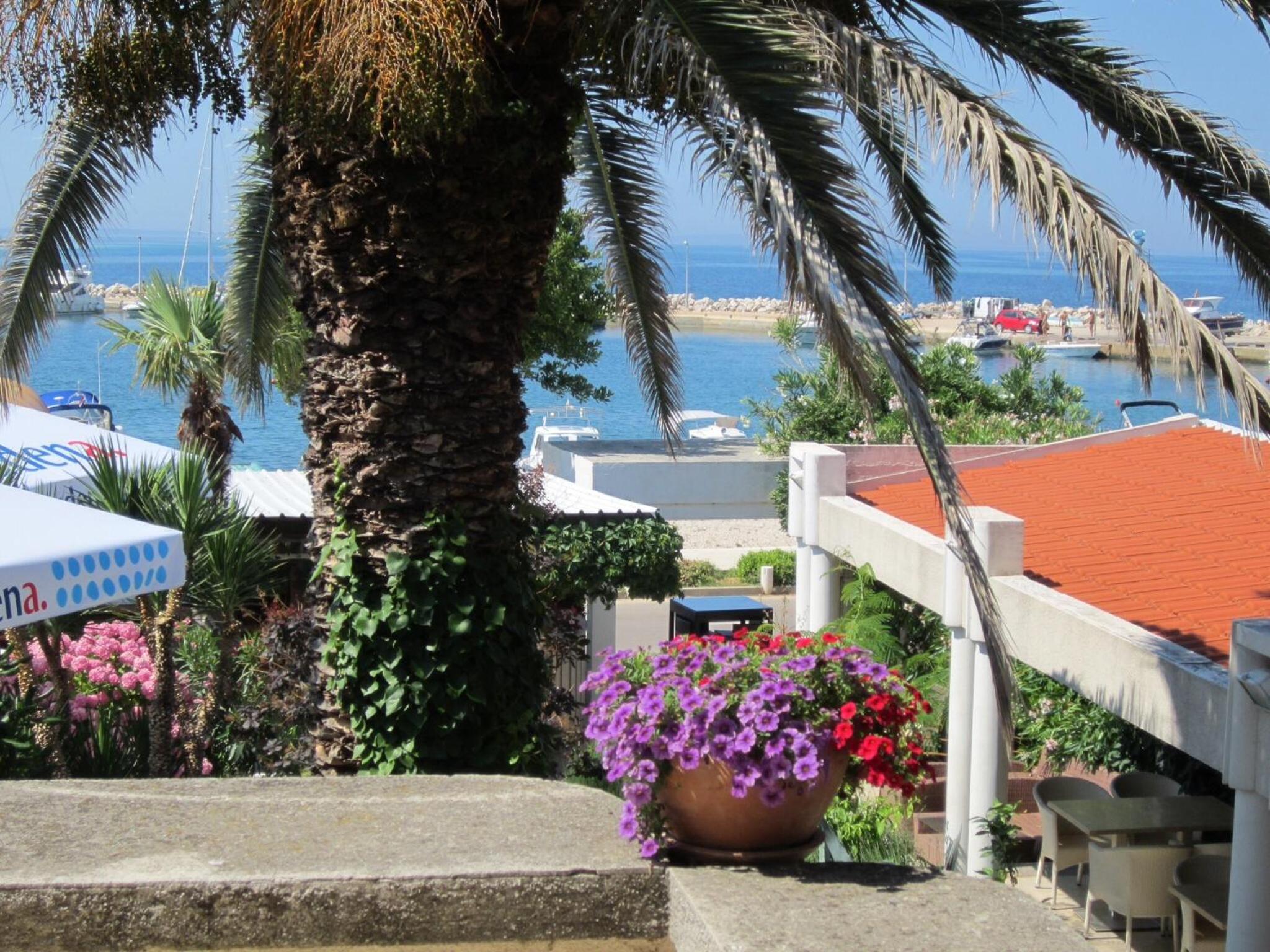 Guesthouse Punta Mira - Beachfront view 4