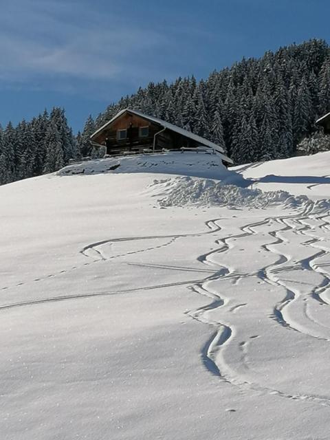 Ferienhütte Georg