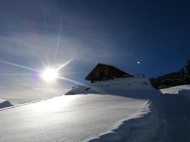 Ferienhütte Georg