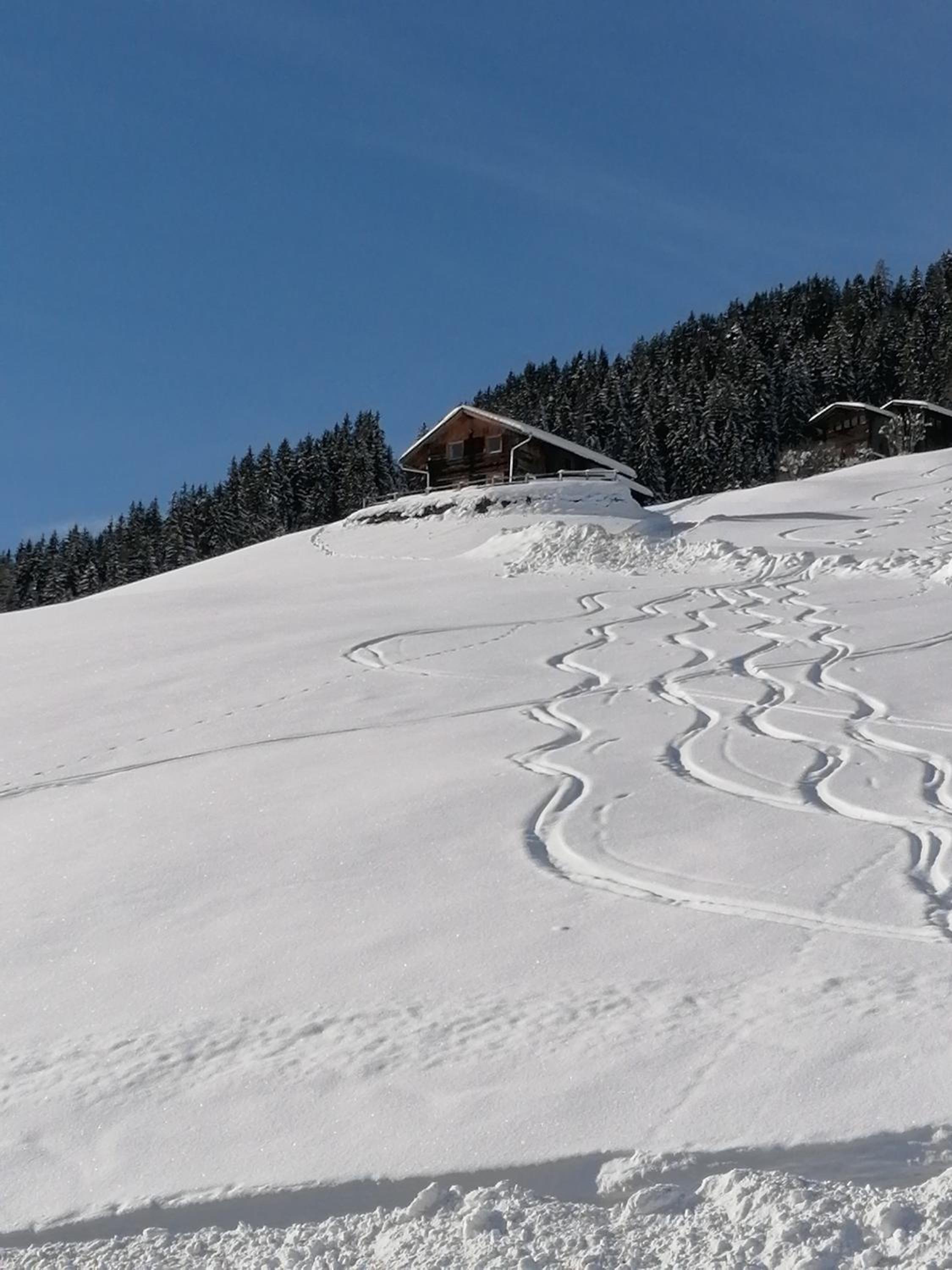 Ferienhütte Georg