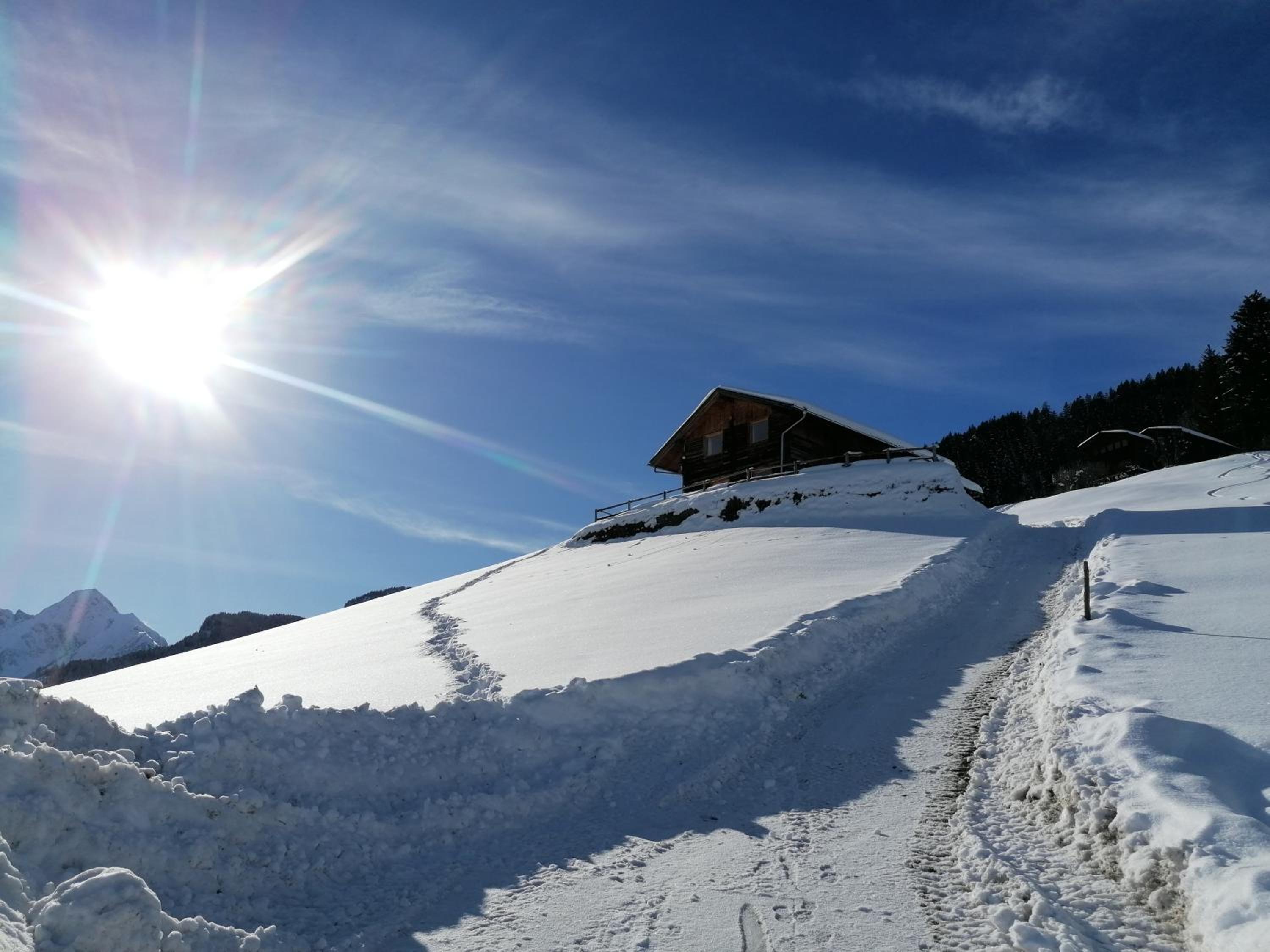 Ferienhütte Georg