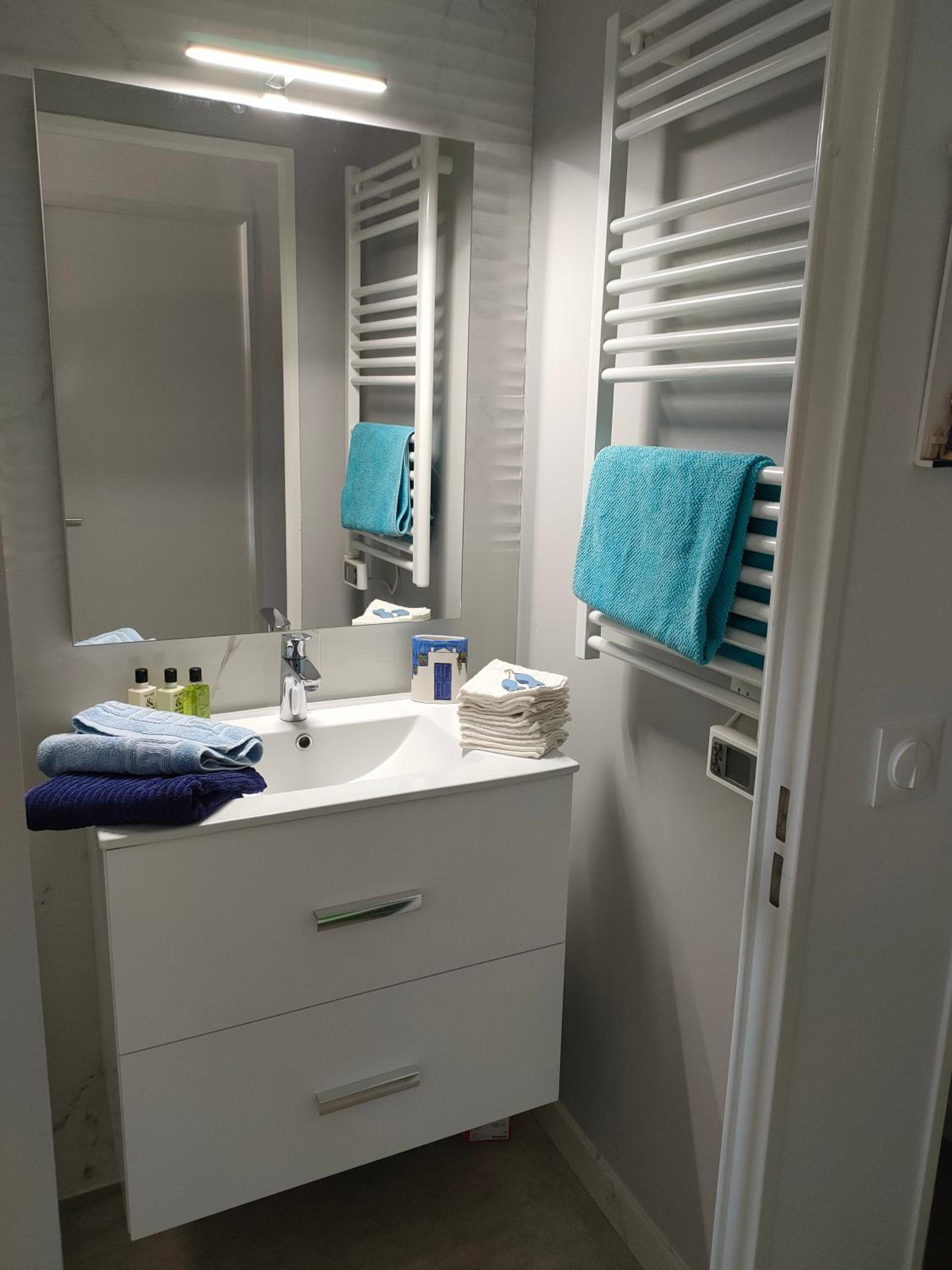 Appartement avec terrasse vue mer, proximité plage, place parking, photo 10