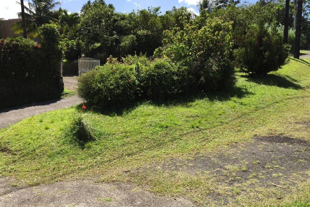 Logement en pleine verdure tropicale -10 min plage view 2