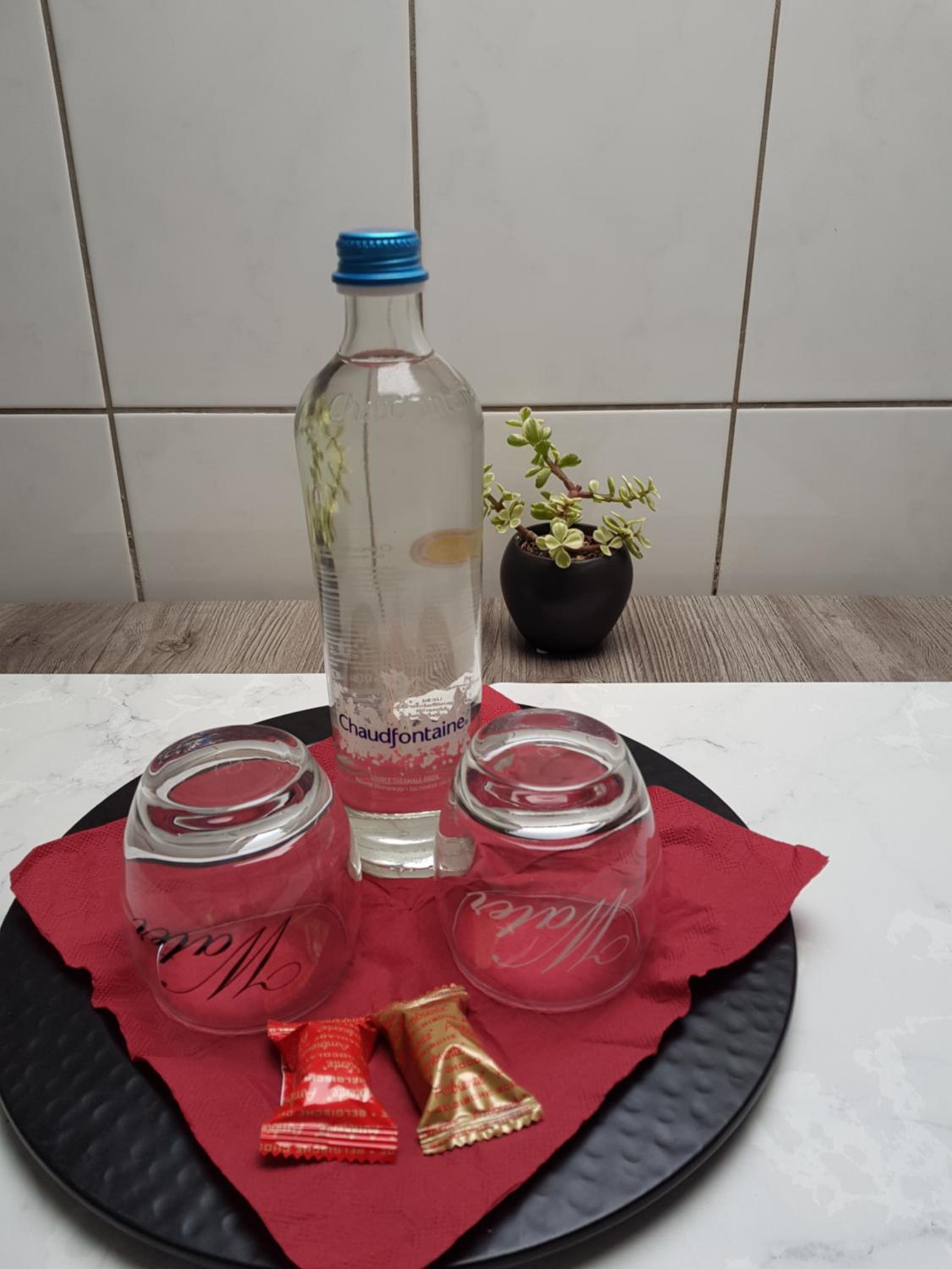 De achtertuin