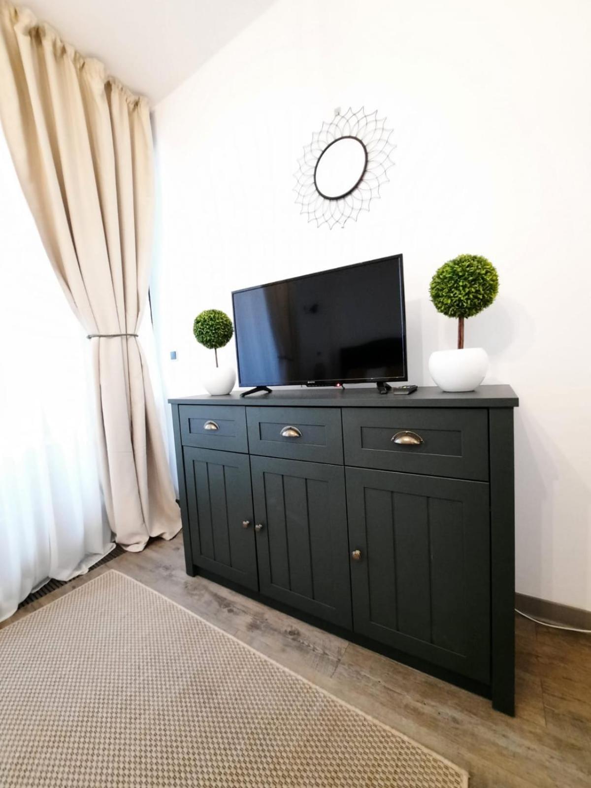 Apartment A36 Silver Mountain view 5
