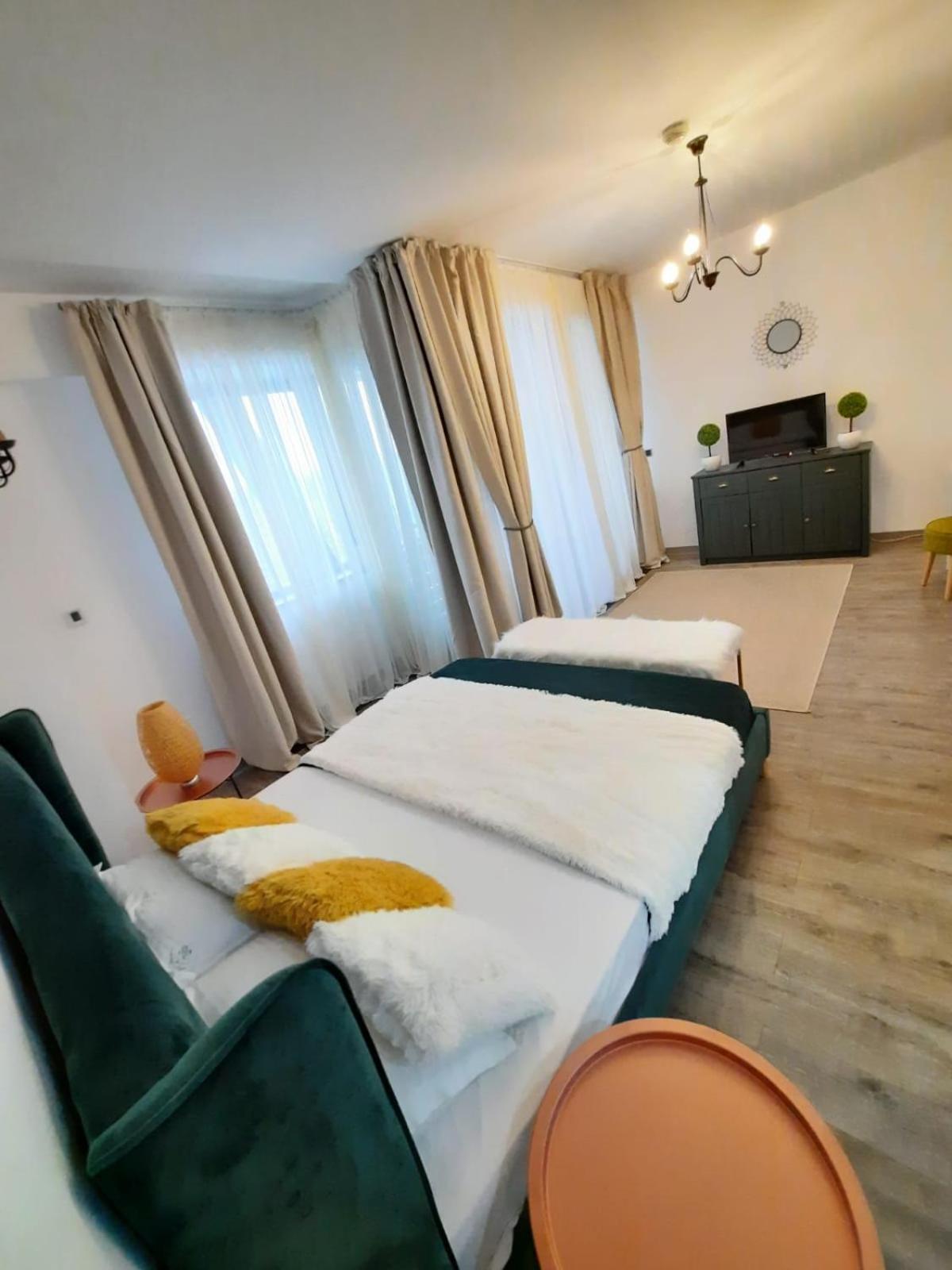 Apartment A36 Silver Mountain view 4
