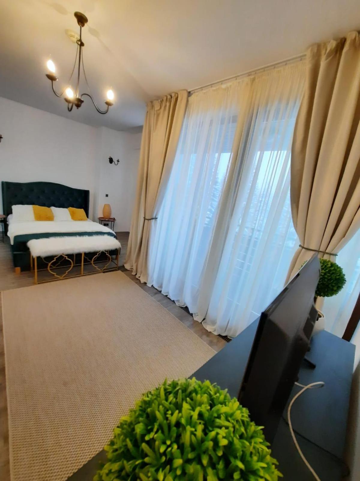 Apartment A36 Silver Mountain view 3