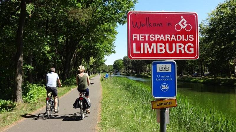 B&B Het Doctershoes