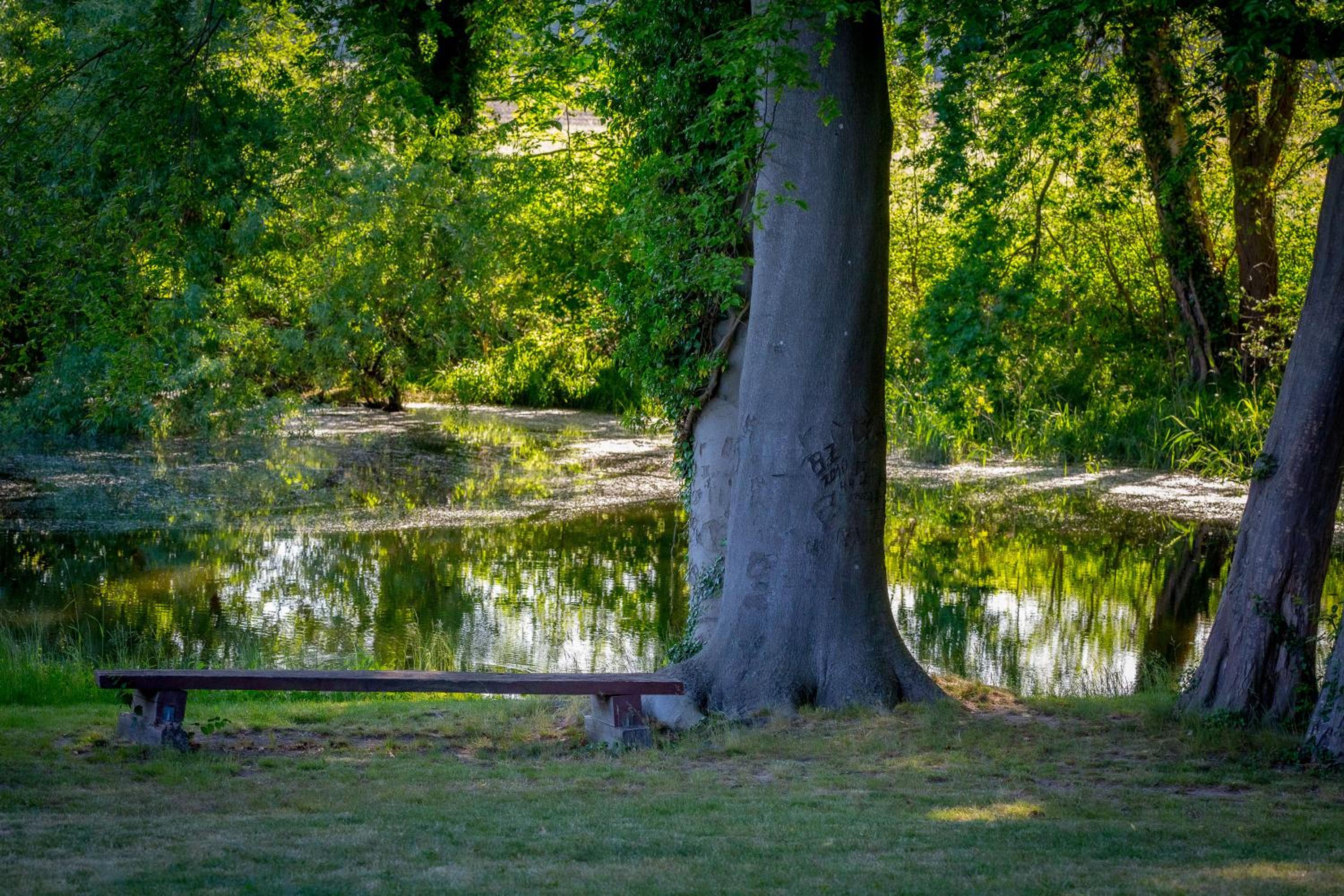 Matys Landhausperle an der Müritz