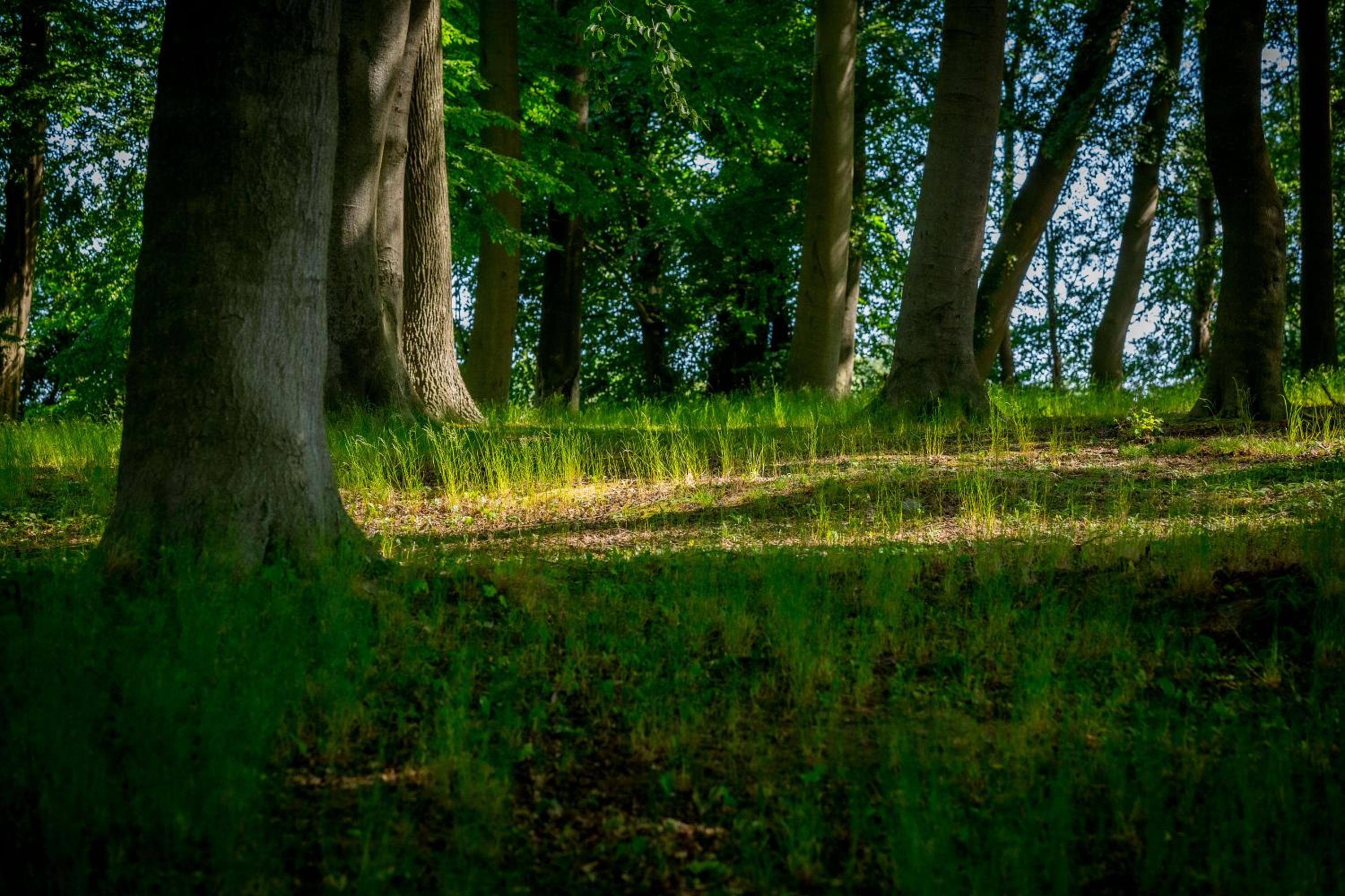 Matys Landhausperle an der Müritz