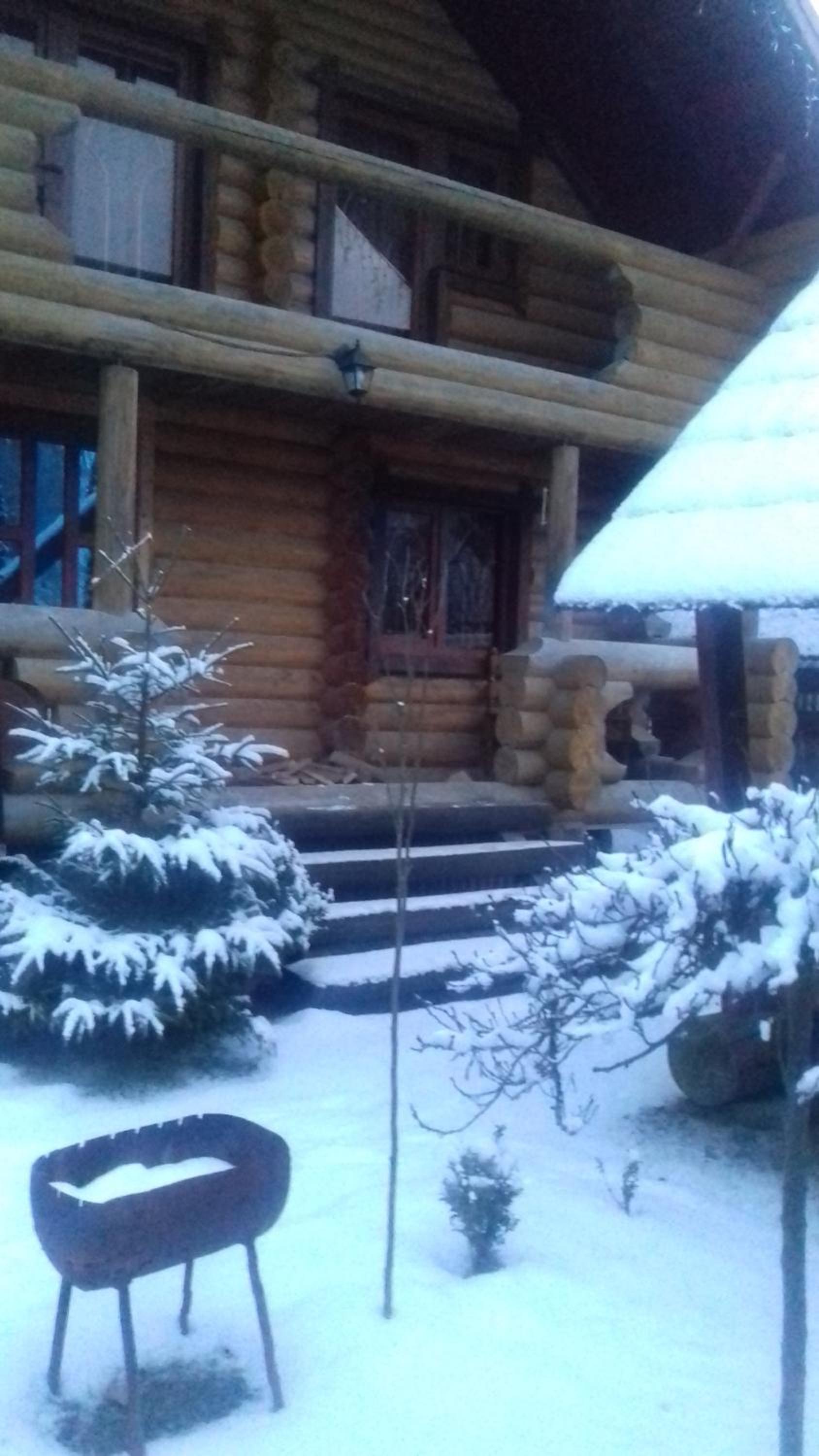 Photo 41