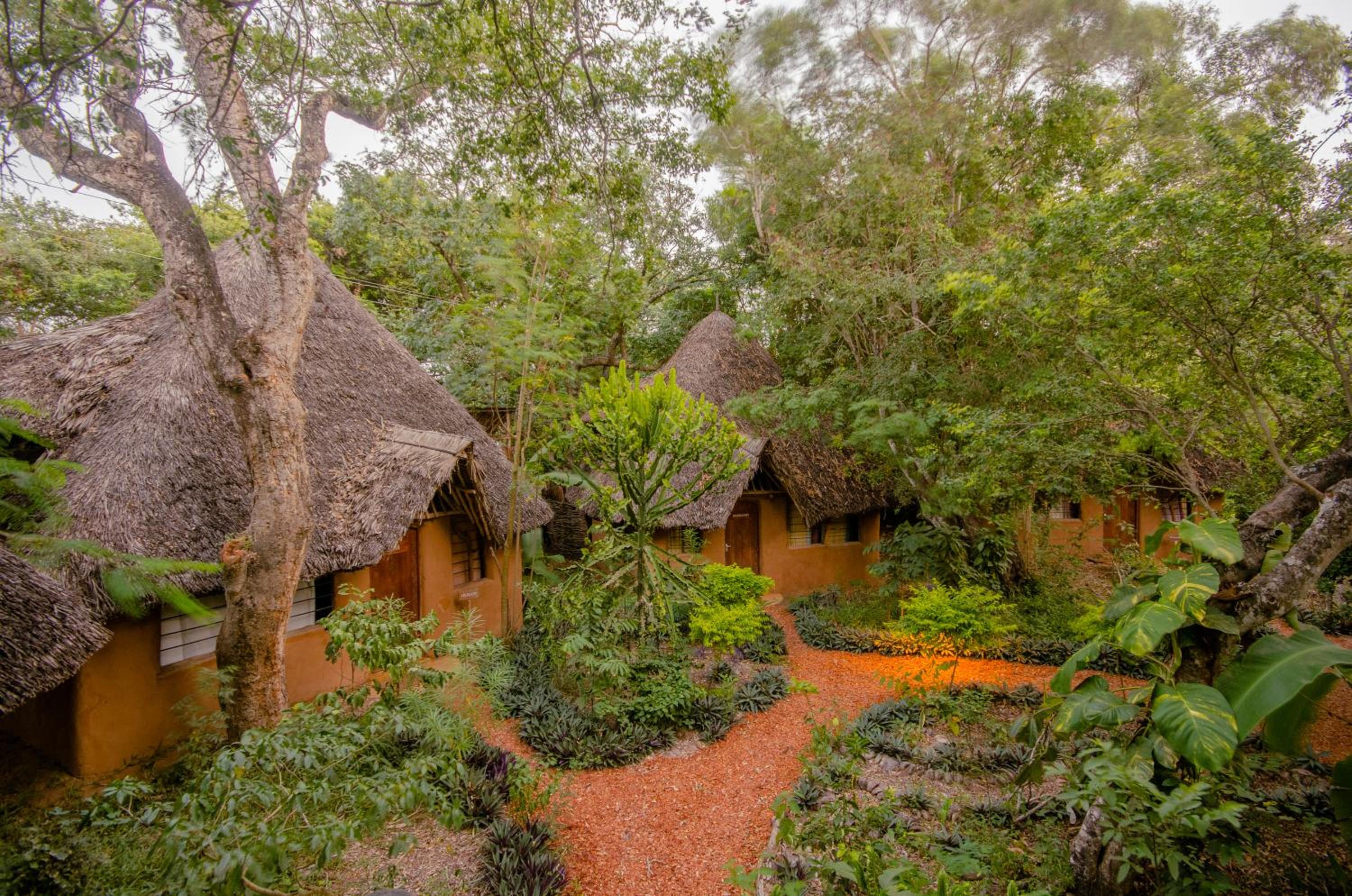 Distant Relatives Ecolodge & Backpackers