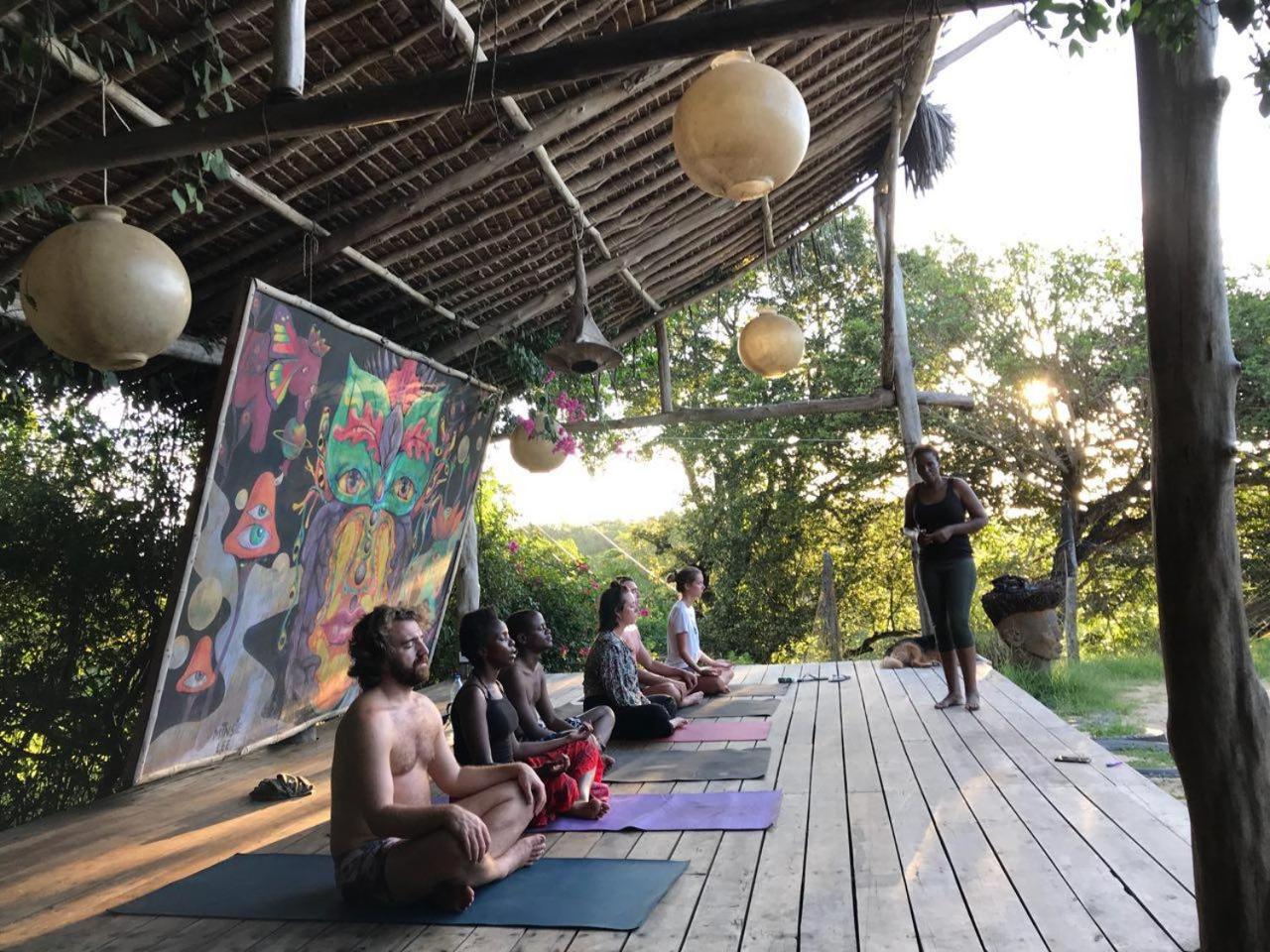 Distant Relatives Ecolodge & Backpackers