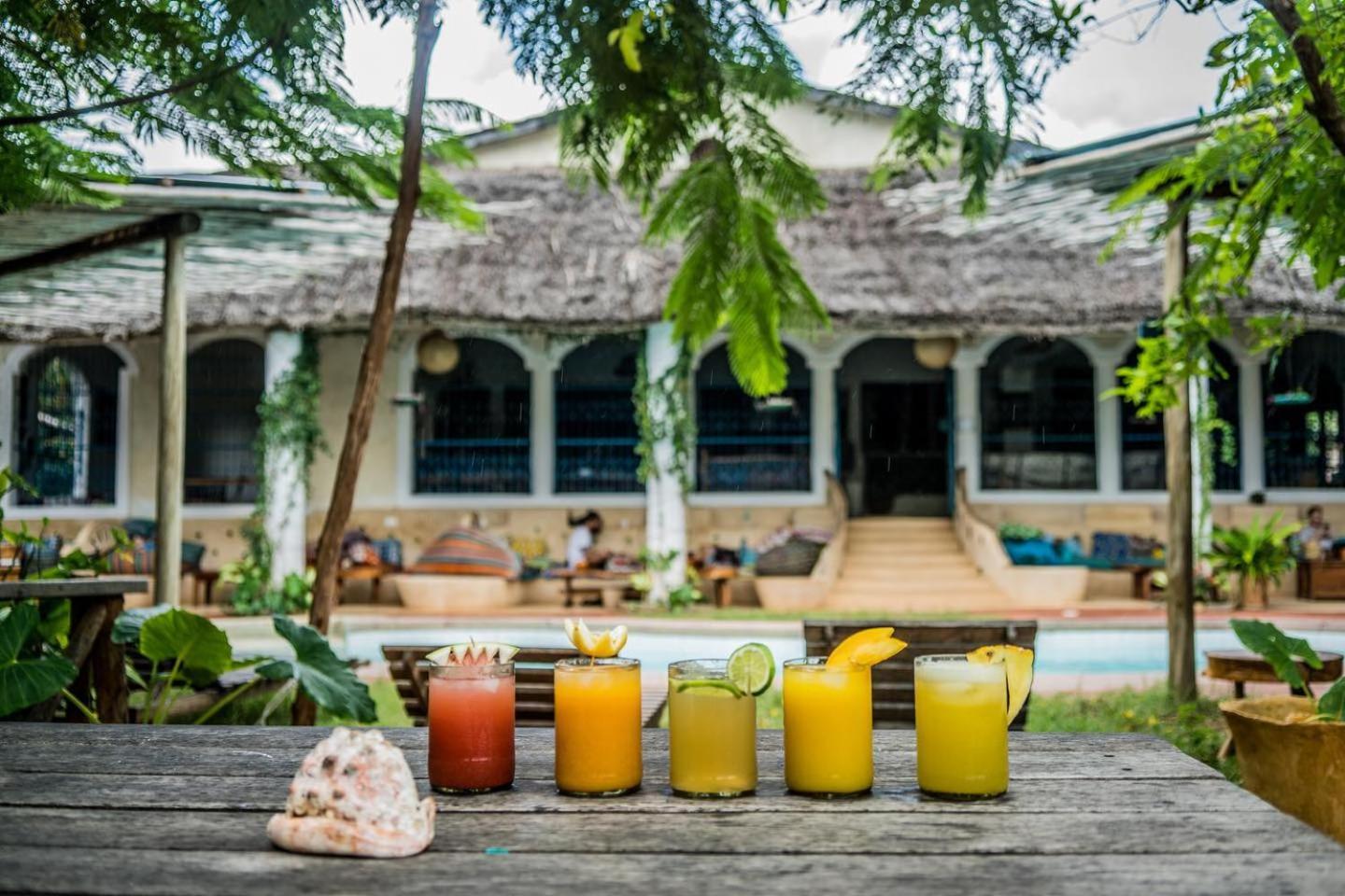Distant Relatives Ecolodge & Backpackers