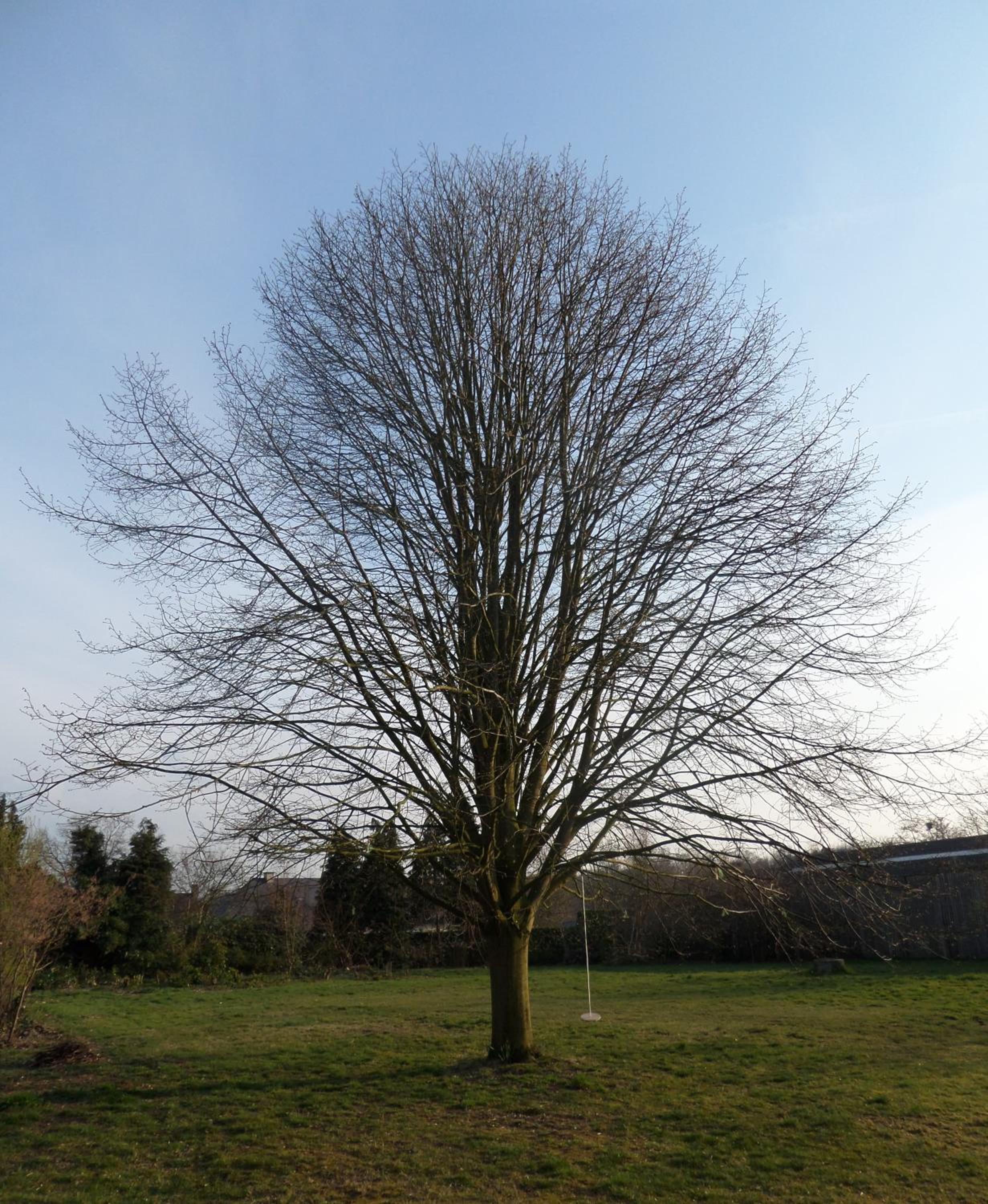 Villa Bijenhof