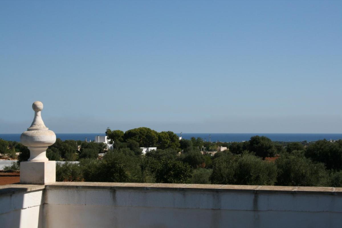 Photo 50