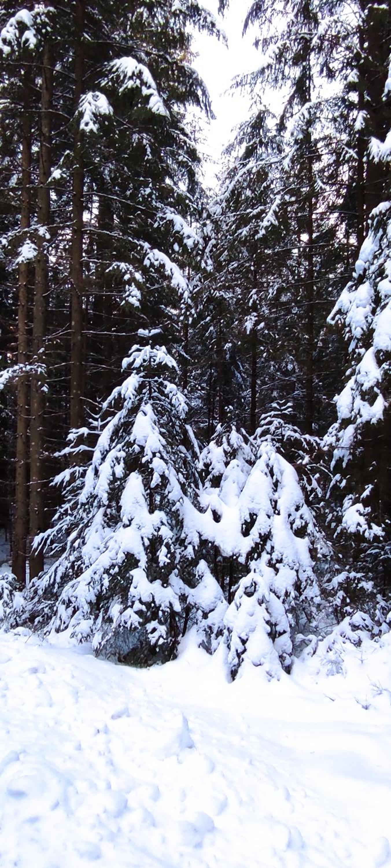 Photo 46