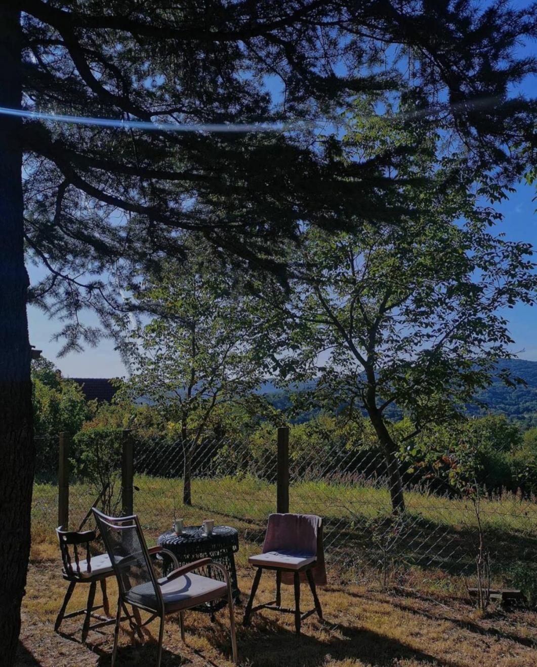 MilBor Fruška Gora view 5
