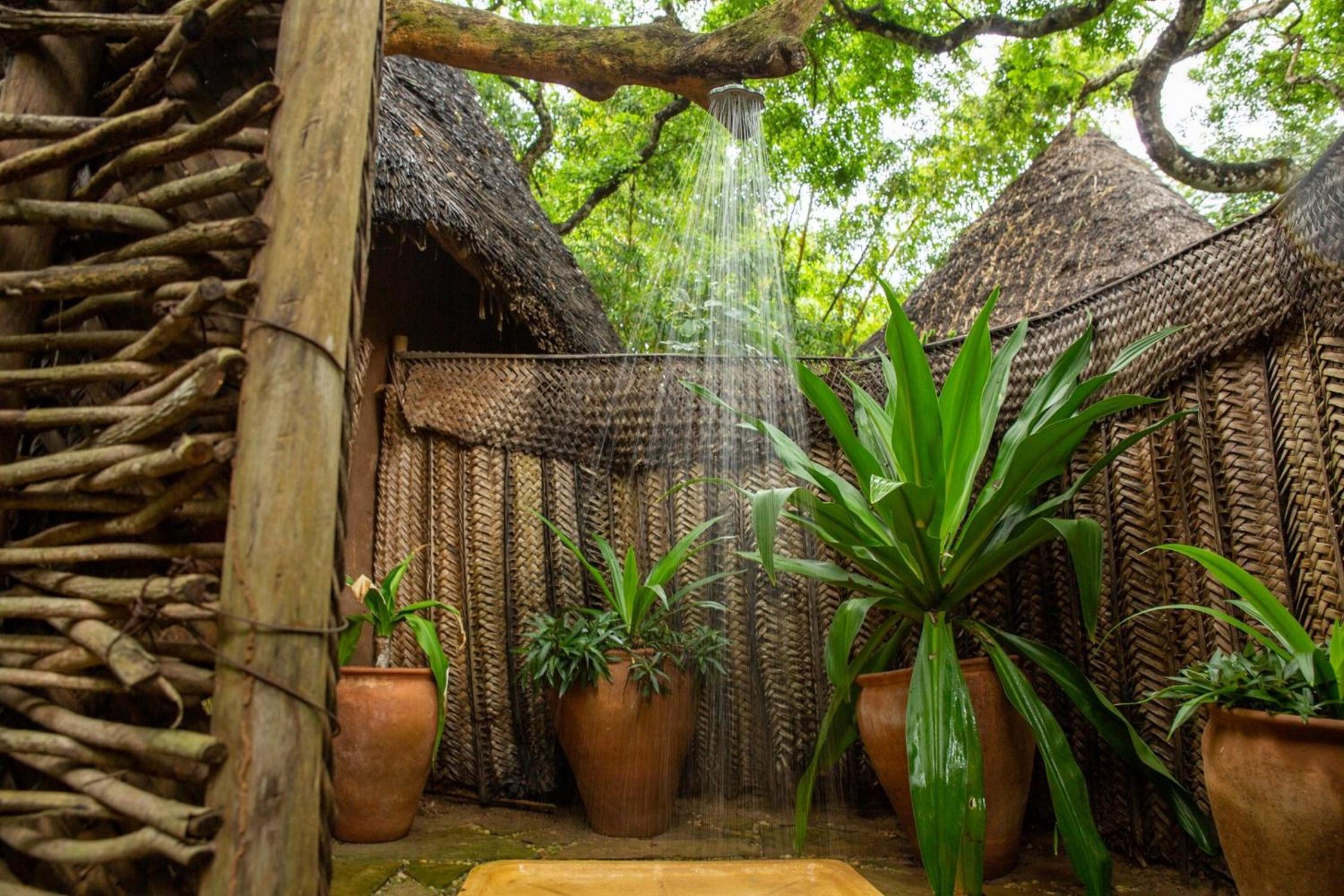 Distant Relatives Ecolodge & Backpackers