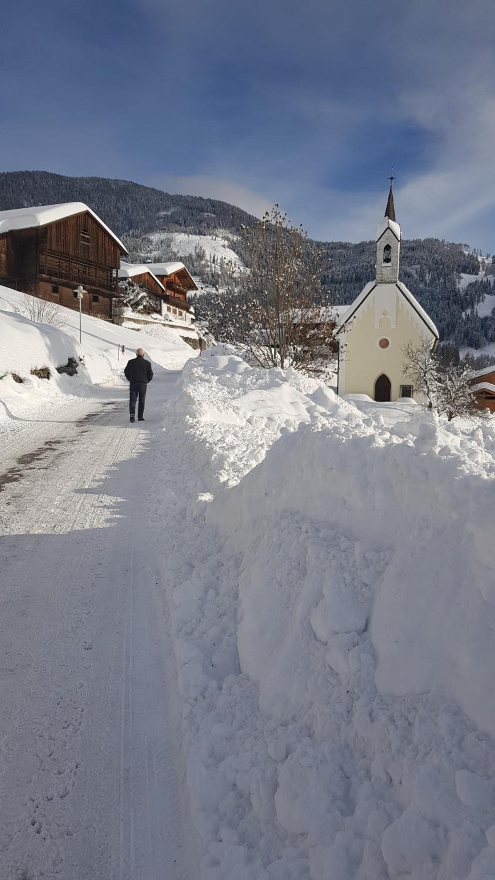 Ferienwohnung Bernsteiner en Iselsberg
