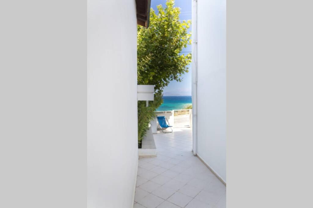 BougainvillaStudio