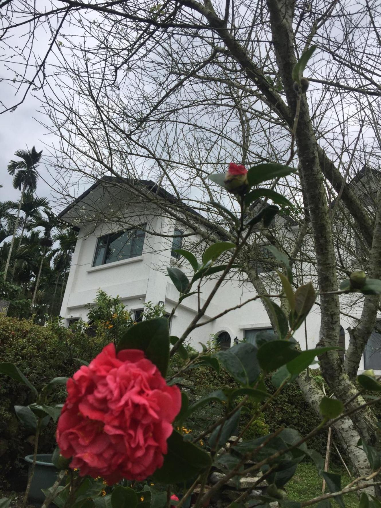 Wuju Wusu B&B