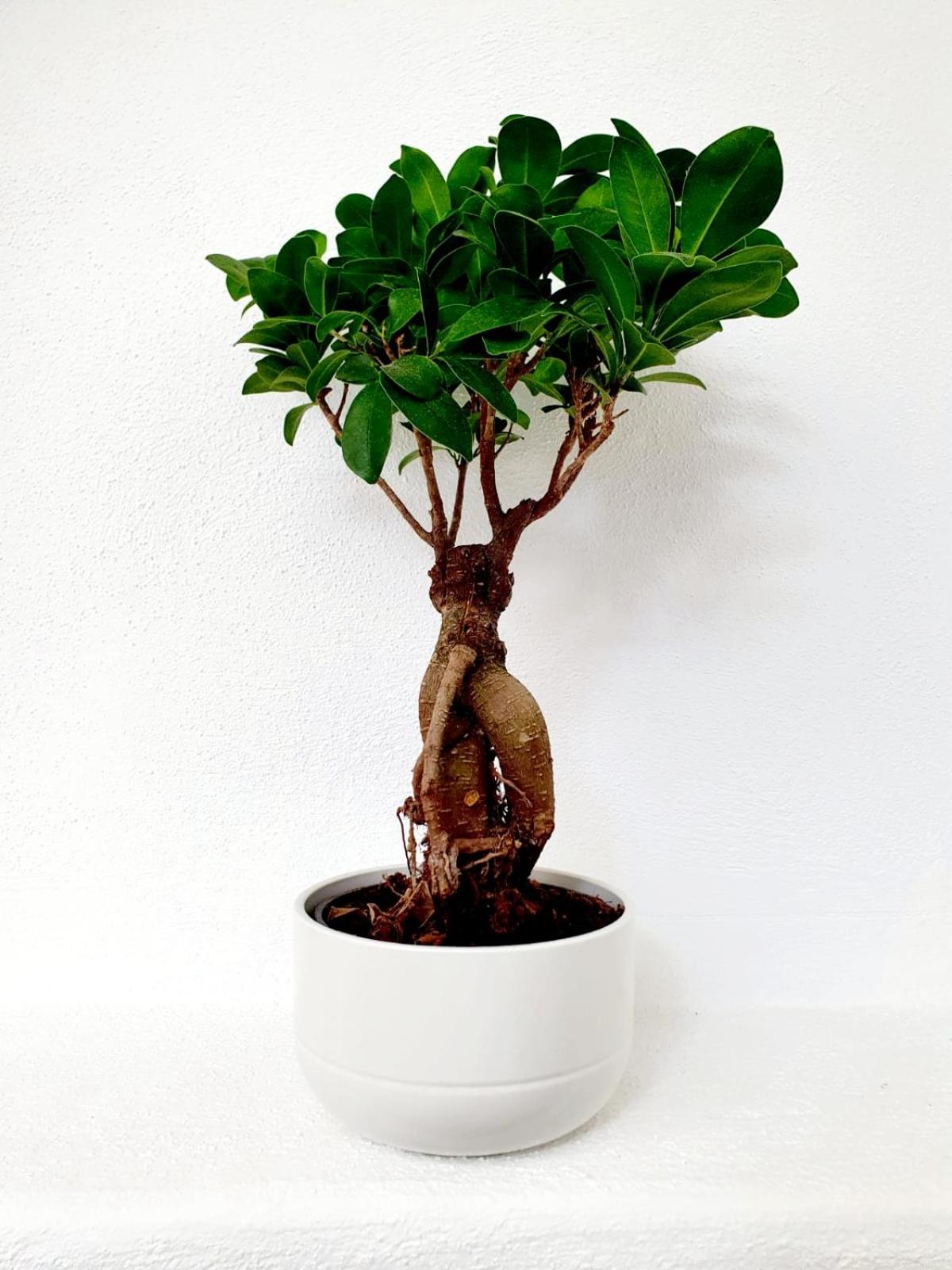 Photo 20