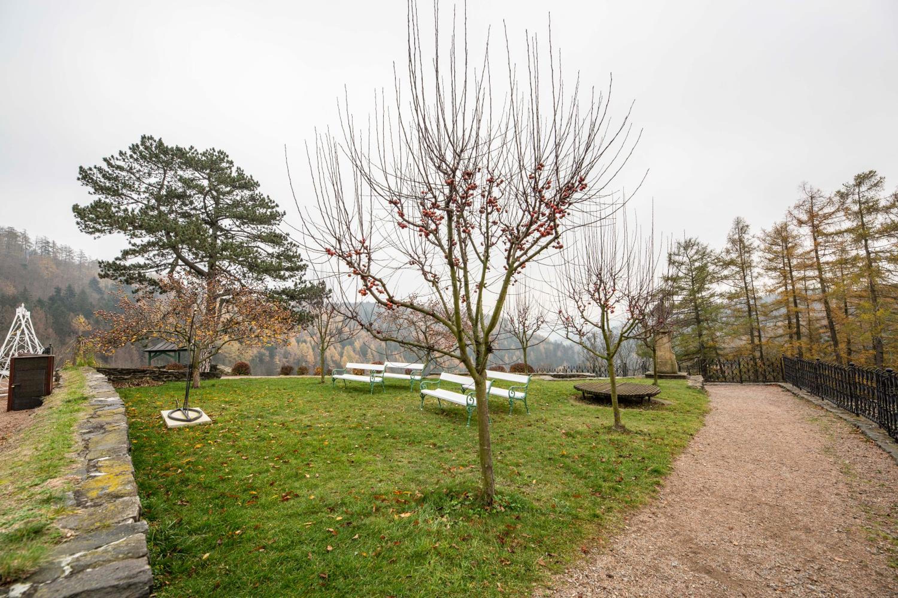 Photo 11