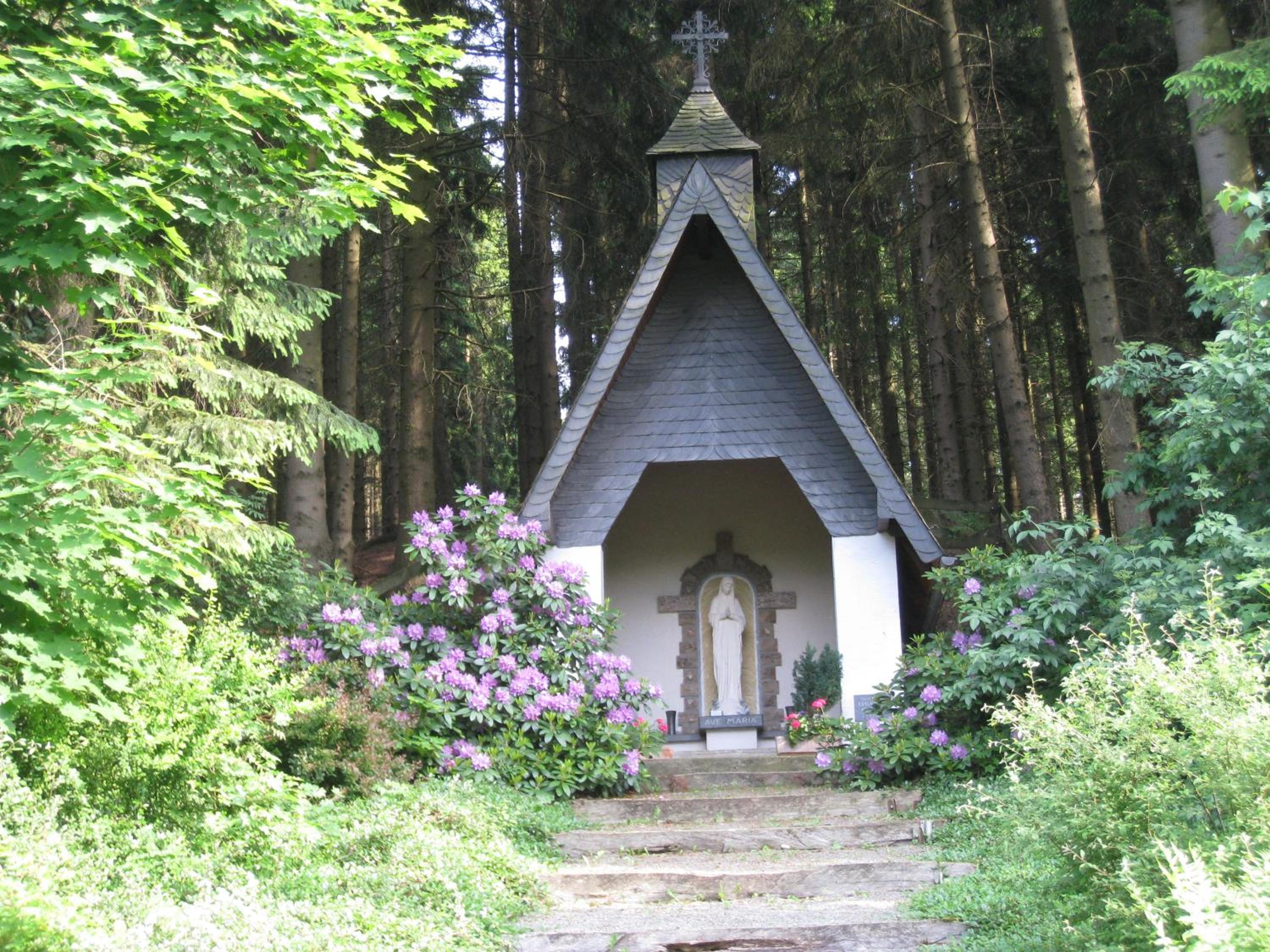 Photo 8