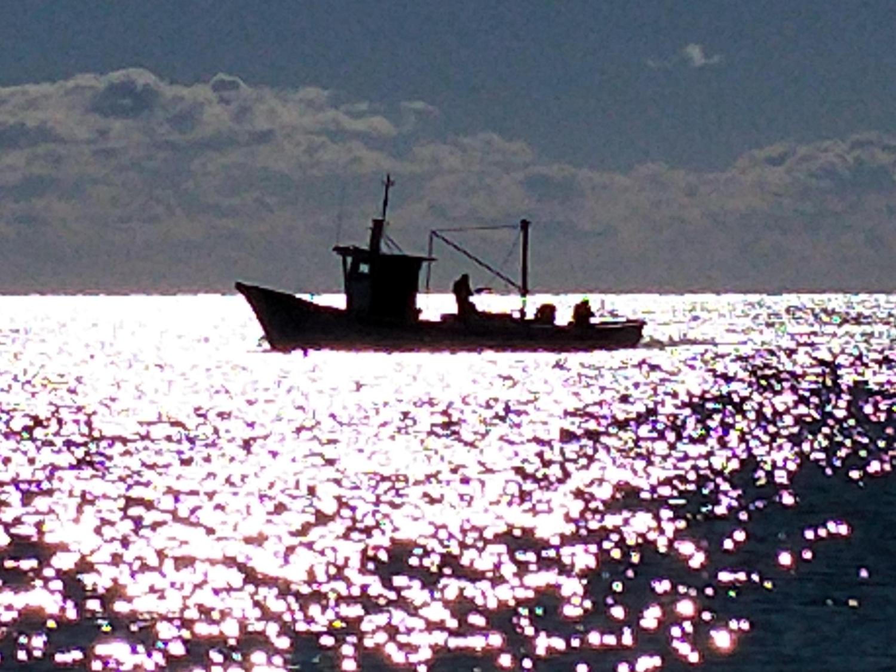 Photo 47